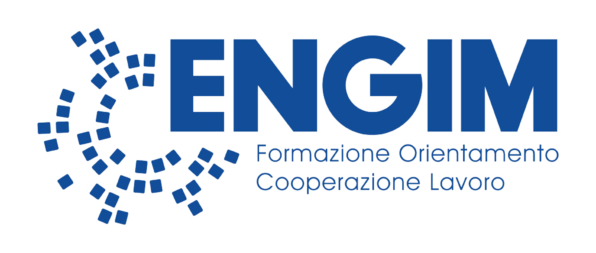Logo ENGIM